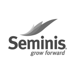 SEMINIS